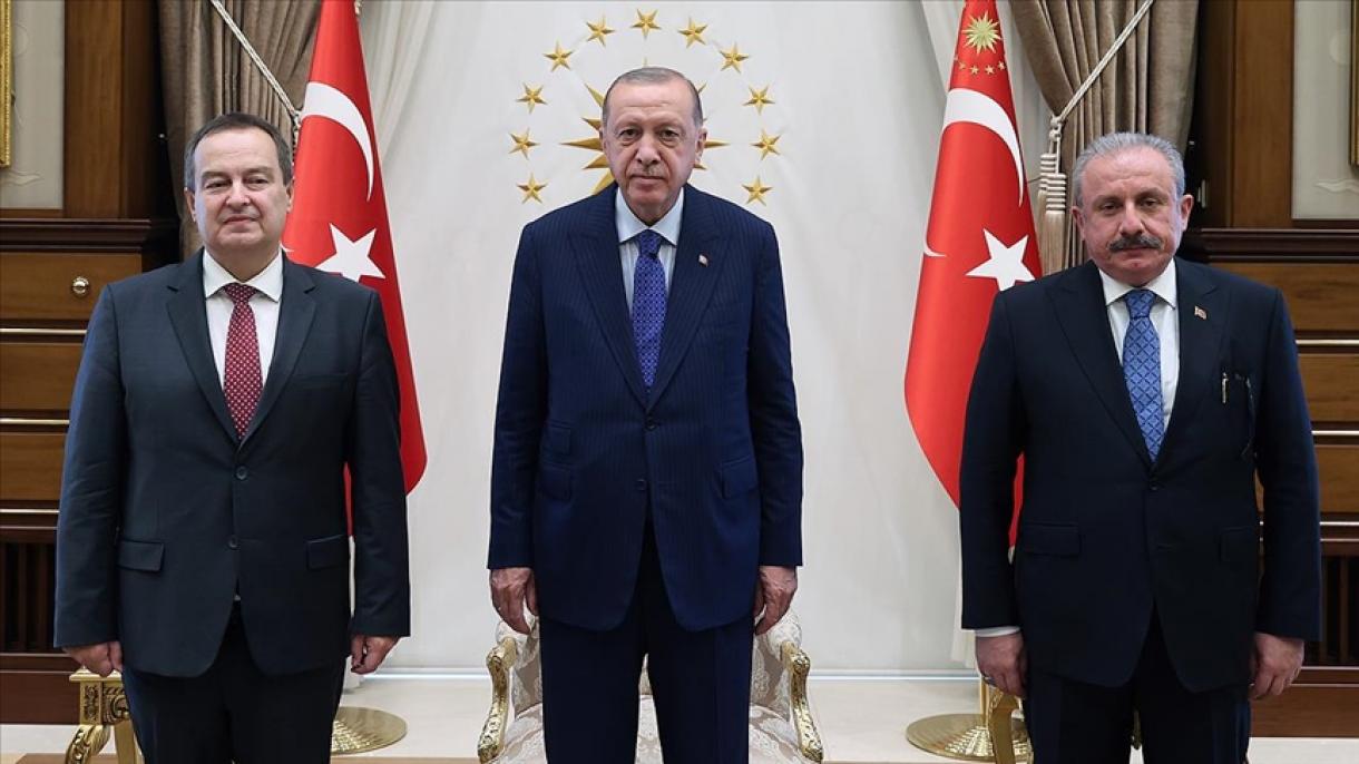 土耳其总统埃尔多安接见塞尔维亚议长