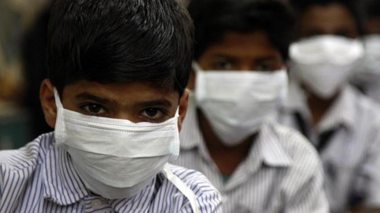 هیندیستاندا دموز آنفولانزاسی