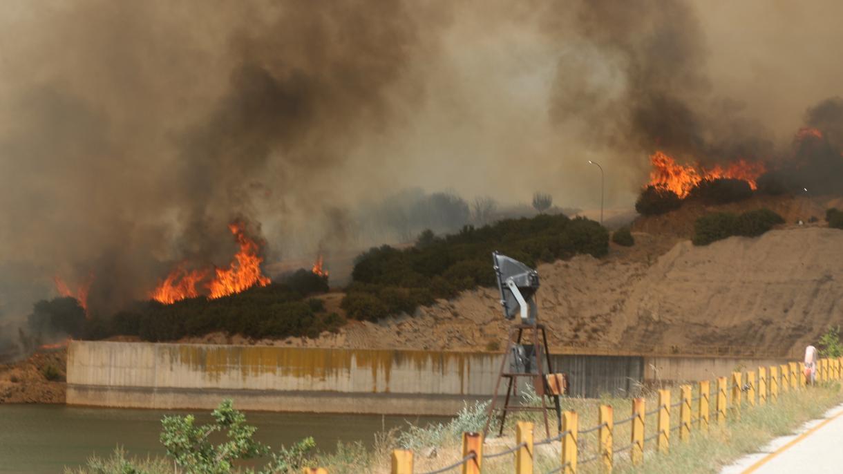 یونان میں جنگلات کی آگ چوتھے روز بھی جااری