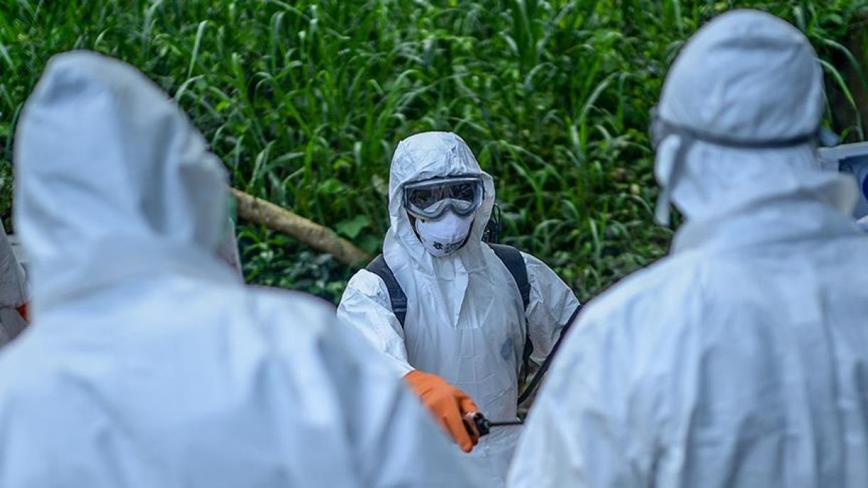 刚果埃博拉疫情死亡人数升至235人