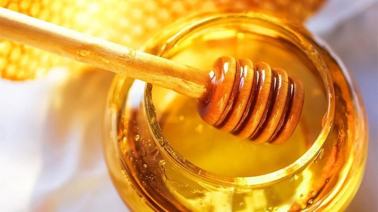 صادرات عسل ترکیه به 44 کشور جهان به ارزش 20.5 میلیون دلار
