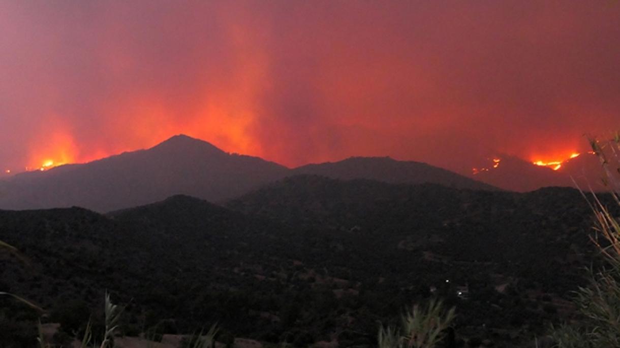 Кипърската гръцка администрация поиска помощ заради горския пожар край Лимасол