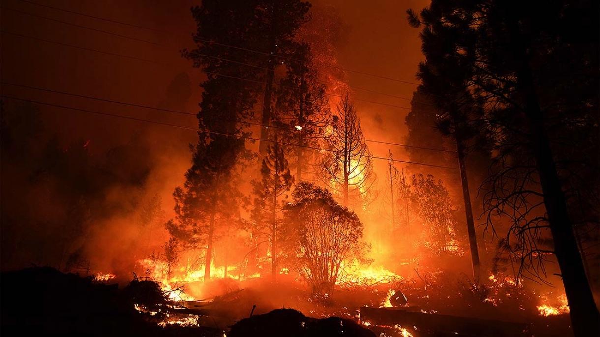 در آتش‌سوزی جنگل‌های غرب ایالات متحده آمریکا تعداد کشته‌ها به 15 نفر افزایش یافت