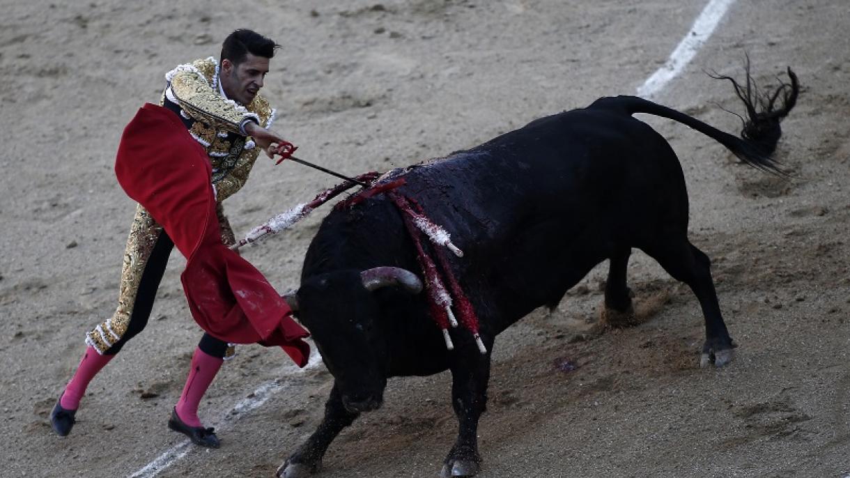 葡萄牙决定禁止16岁以下儿童现场观看斗牛