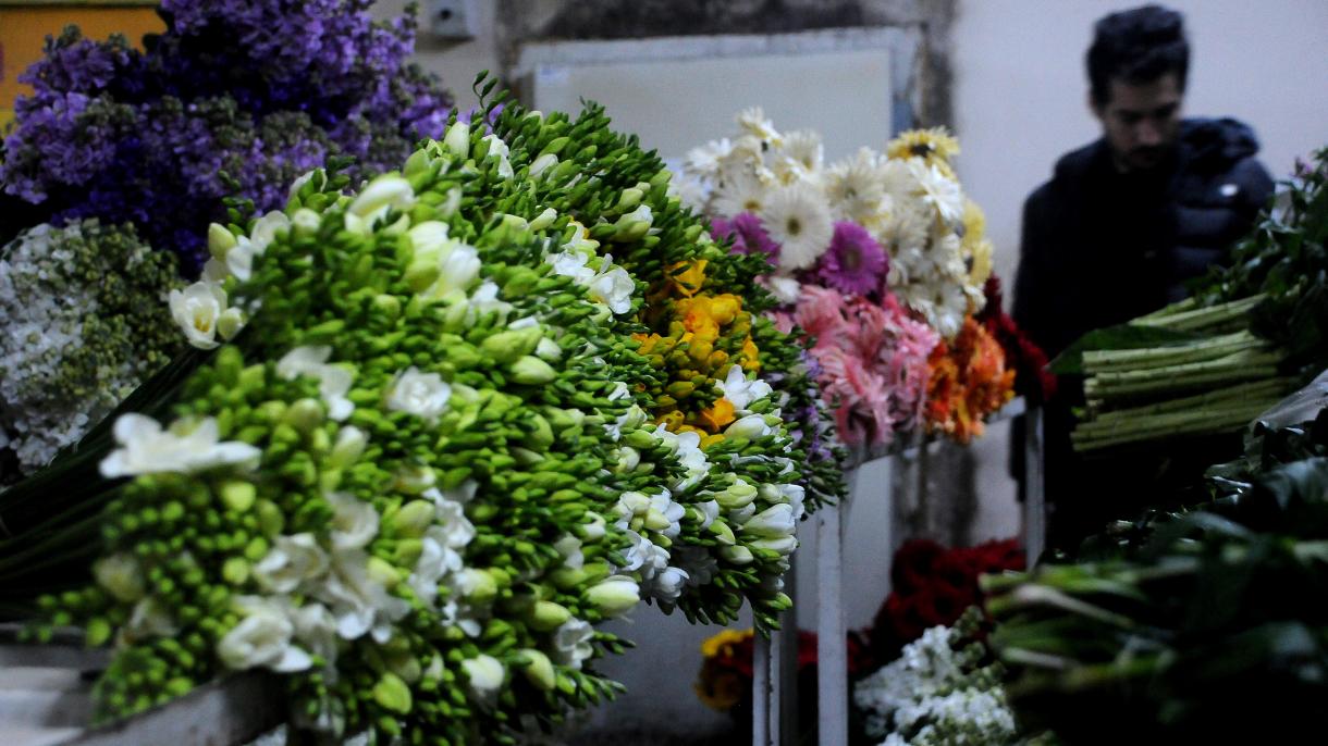 旅游胜地安塔利亚在妇女节成为花的乐园