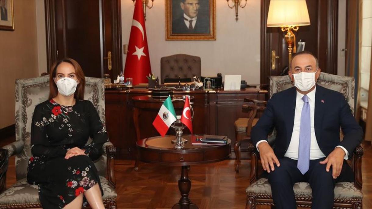 Canciller turco se reúne con la presidenta de la Unión Interparlamentaria de México