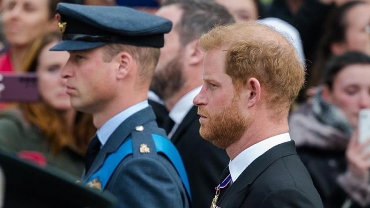 شاهزاده هری از کشتن 25 نفر هنگام انجام وظیفه در افغانستان خبر داد