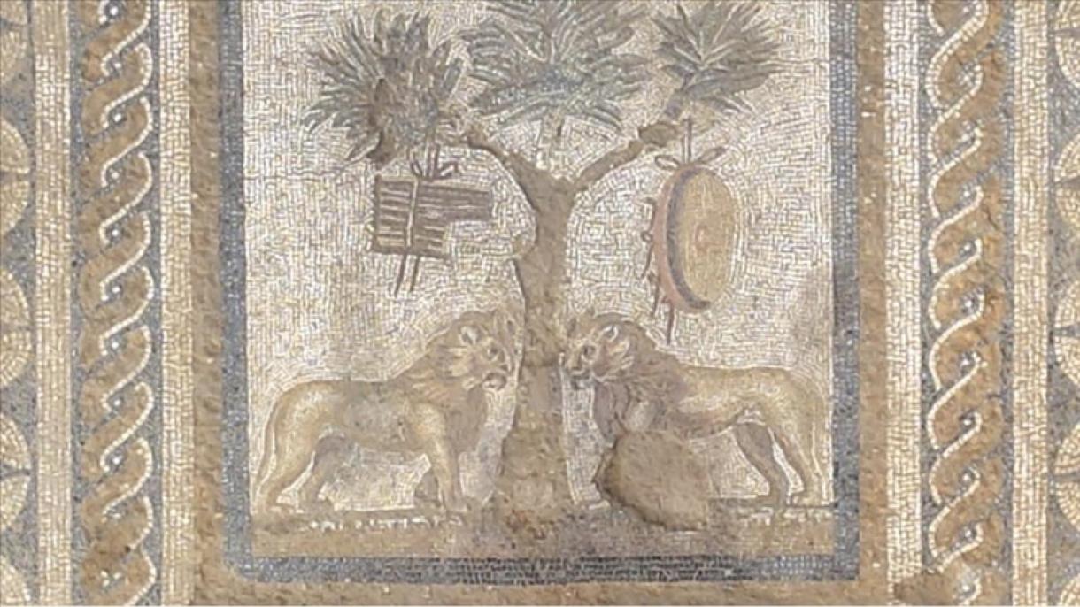 Nell'antica città di Prusias ad Hypium a Duzce è stato ritrovato un mosaico con un leone