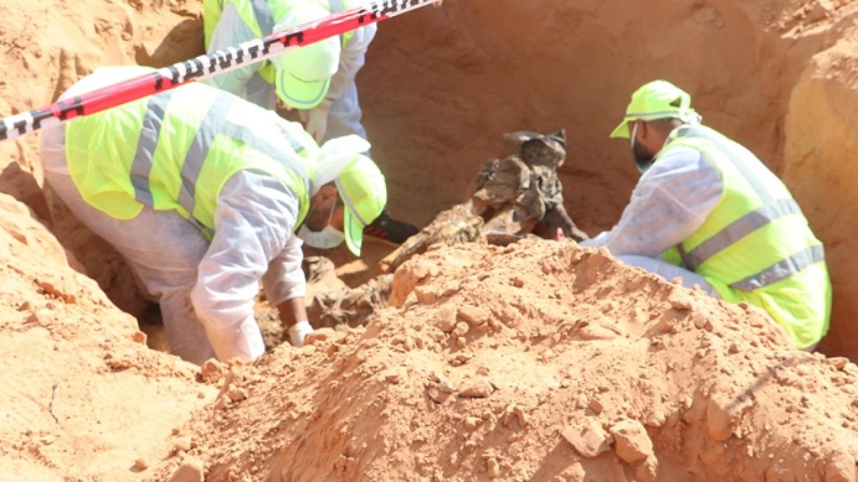 在利比亚塔鲁纳市又挖出230具尸体