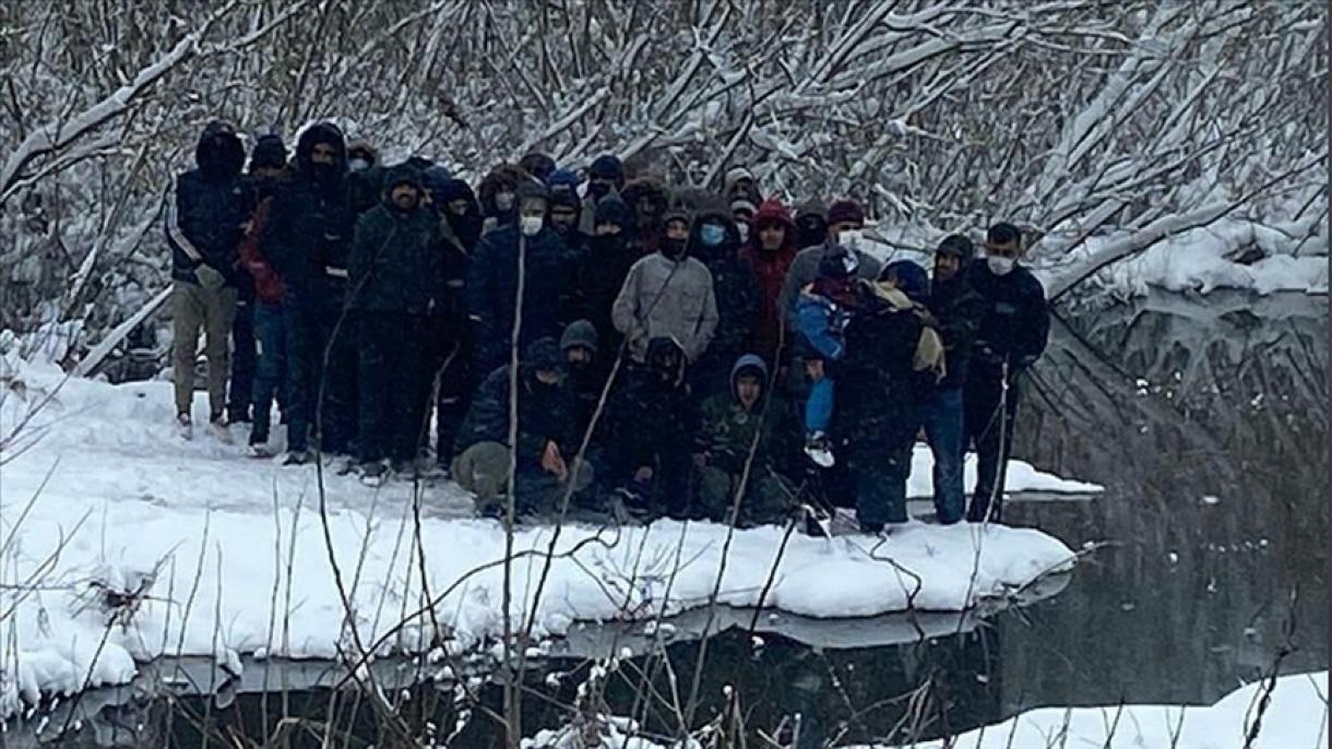 نجات یک گروه مهاجر نامنظم از سوی نیروی مسلح ترکیه