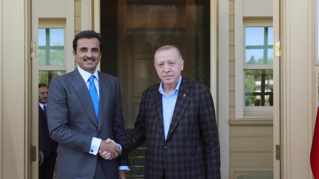 دیدار رجب طیب اردوغان رئیس جمهور ترکیه با شیخ تمیم بن حامد آل ثانی امیر قطر