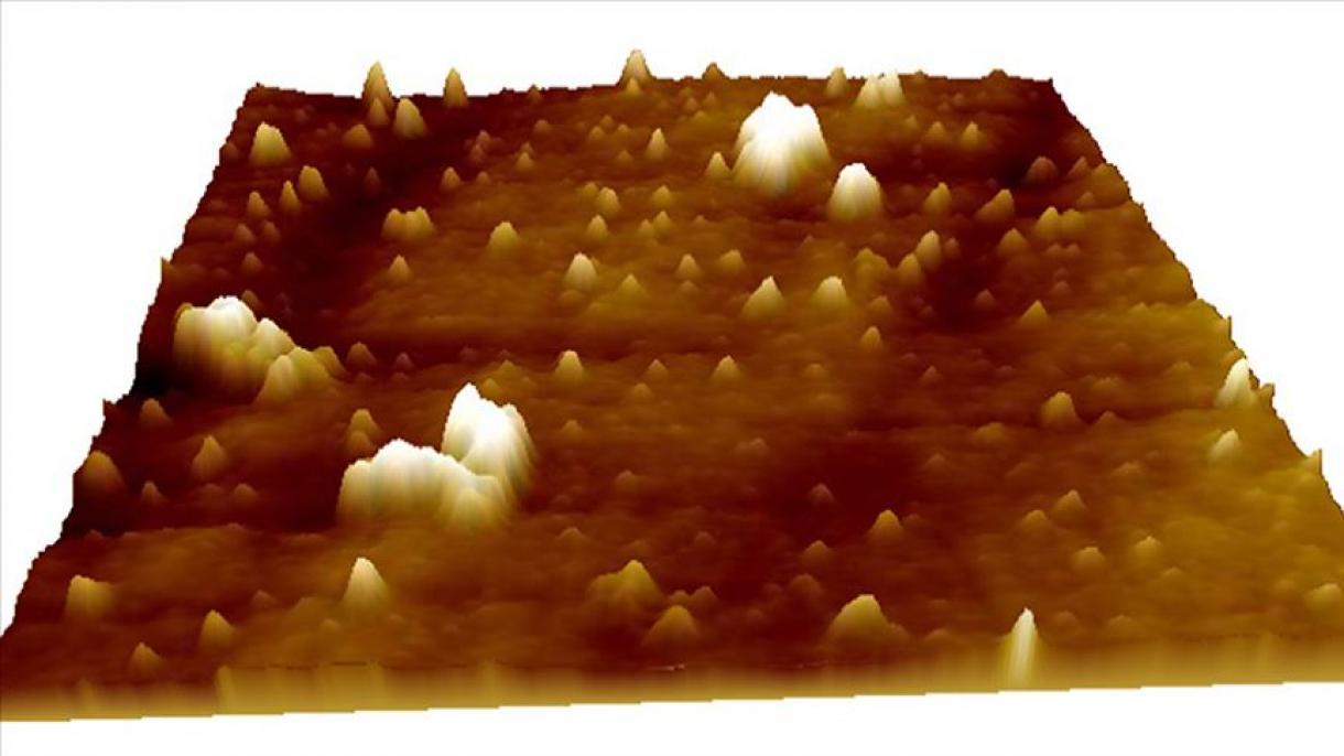 تصویر برداری سه ‌بعدی از کووید-19 توسط دانشمندان تورک