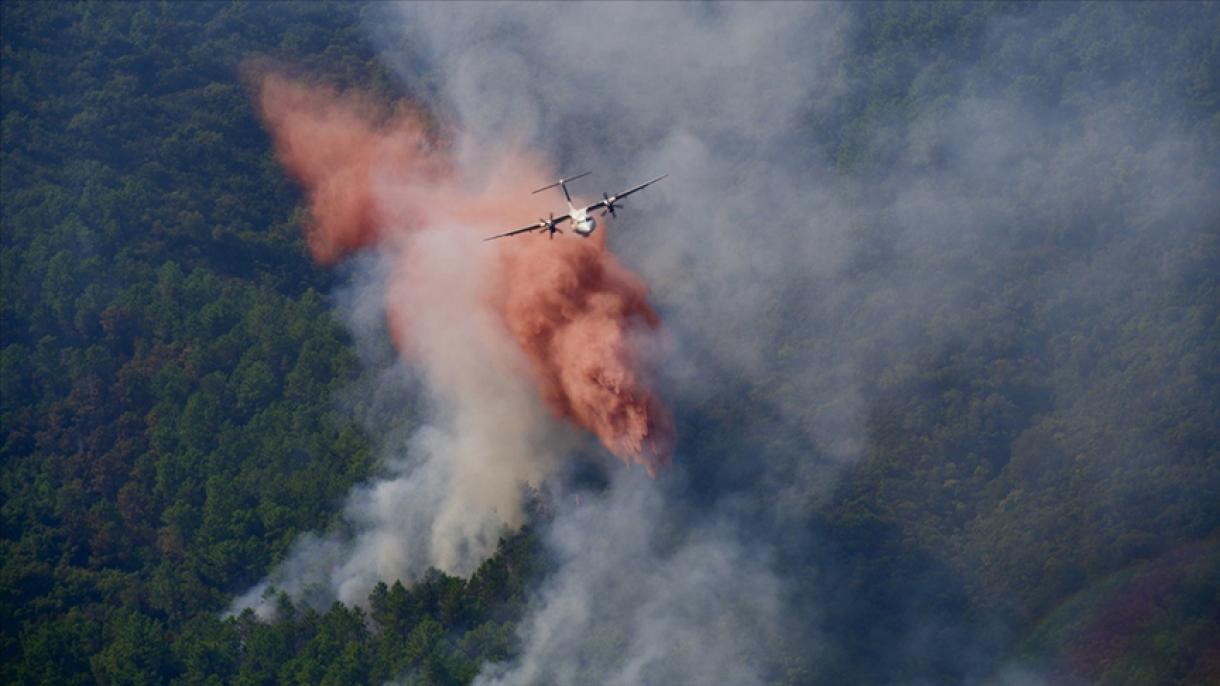 法国瓦尔地区森林大火已得到控制