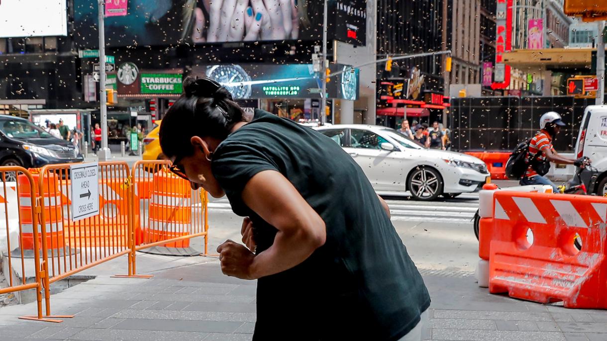 Méhek támadtak egy New York-i hot dog árusra