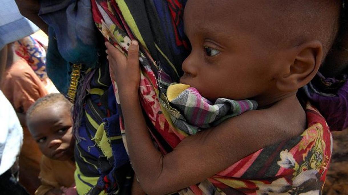 43 országban az éhínség szélén áll több mint 45 millió ember
