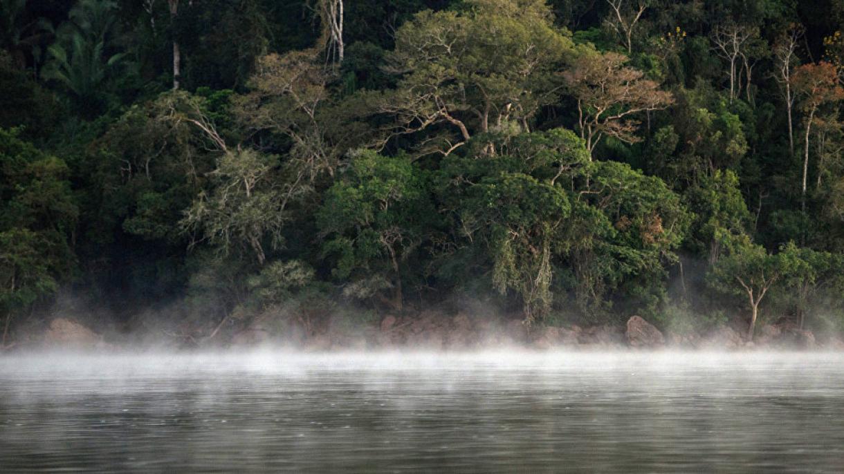 Líder indígena: “Si el Amazonas cae, todos caeremos”