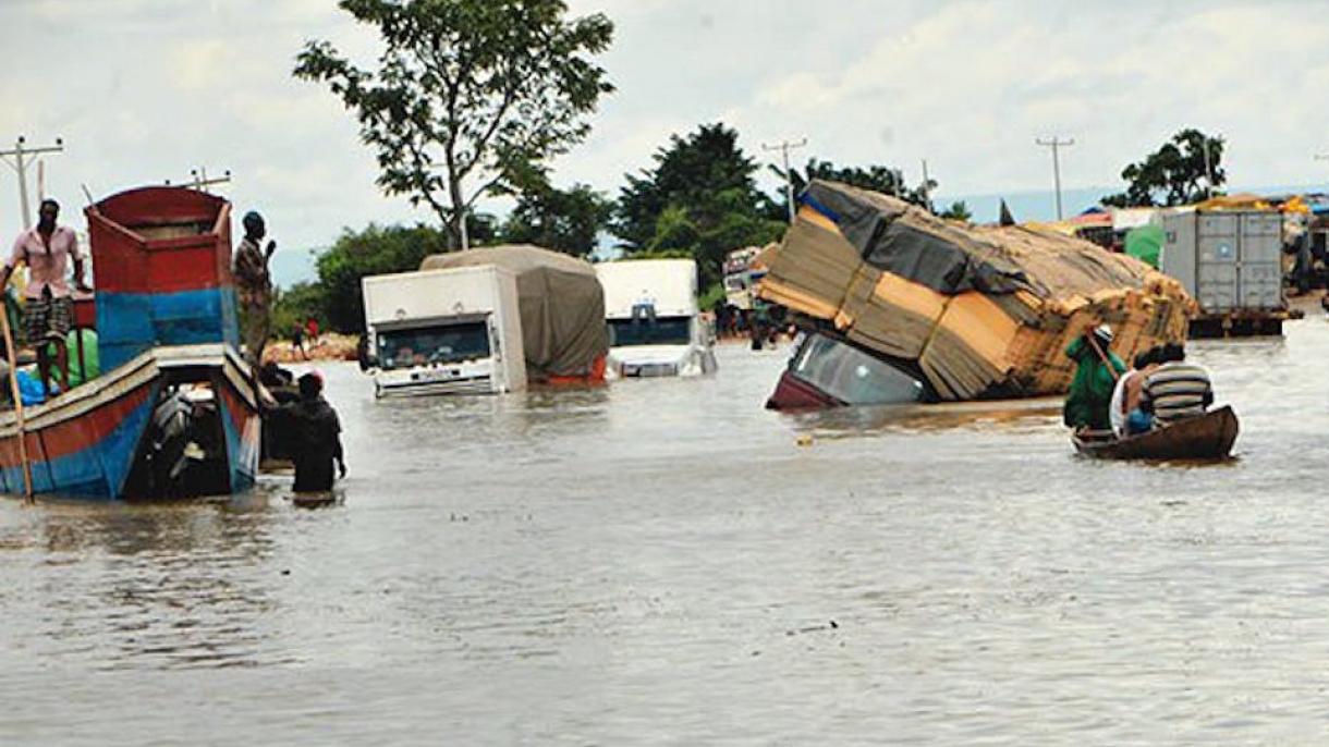 尼日尔水灾严重 国家公布损失程度