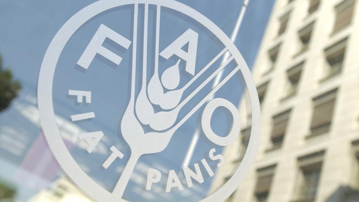 اداره FAO سازمان ملل اعلام کردکه قیمت جهانی مواد غذایی در ماه می به شدت افزایش یافت