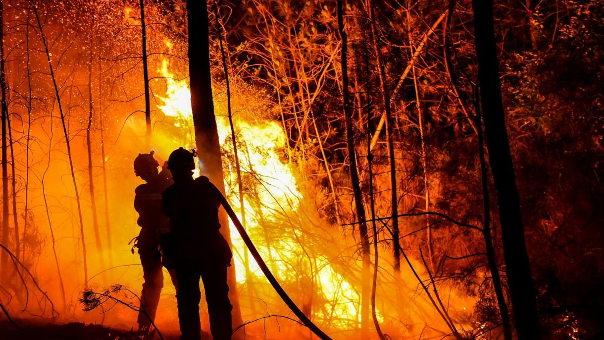 Continúan los incendios forestales en Francia
