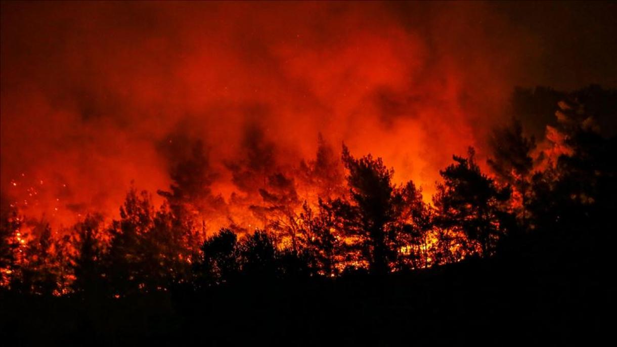 Bolsonaro culpa a las ONG de graves incendios en la Amazonía