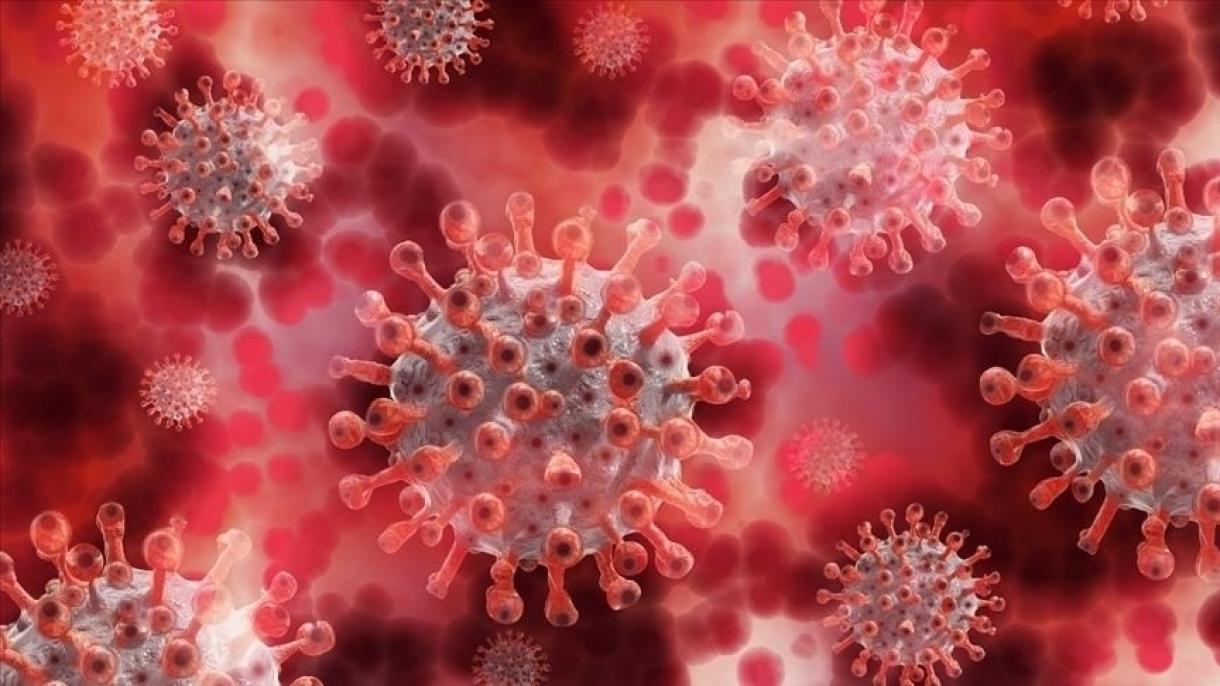 美参议院通过要求公布新冠病毒溯源情报信息的草案