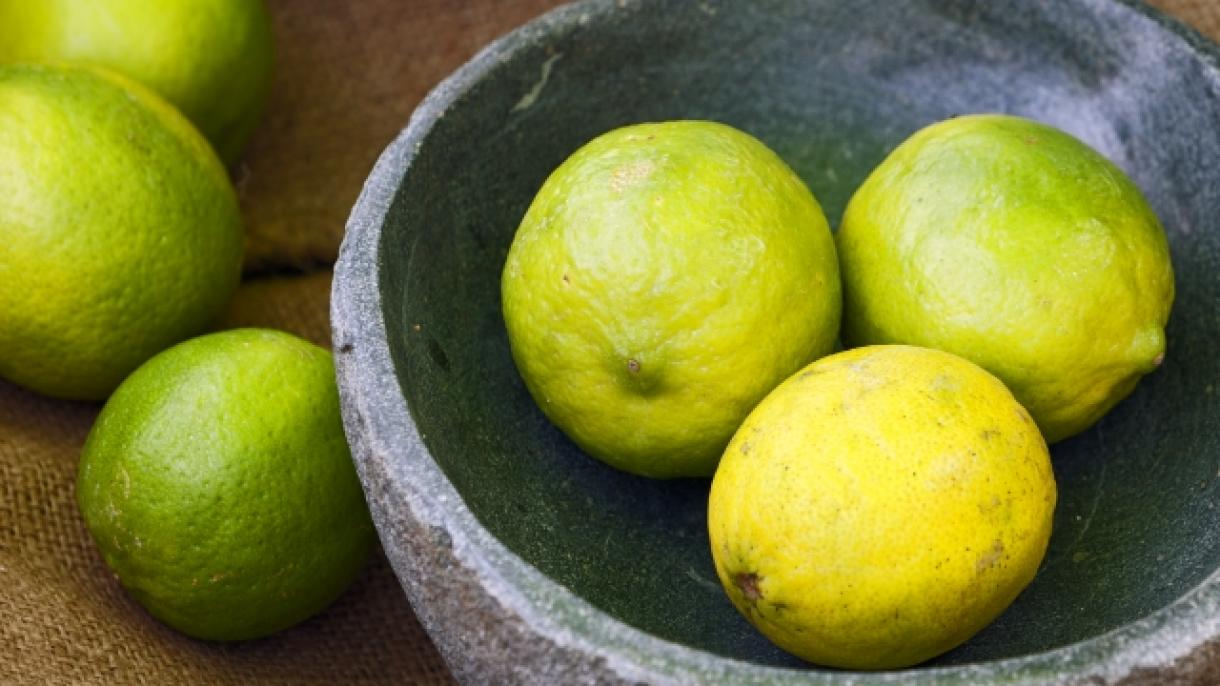Түркиянын лимон экспорту сентябрь айында да жогорулады