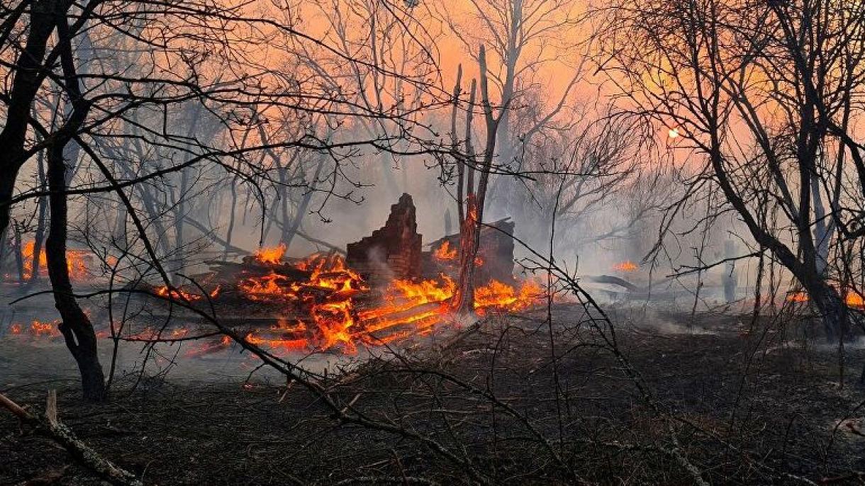 یوکرین میں جنگلاتی آگ زور پکڑ گئی،6 افراد ہلاک 9 زخمی