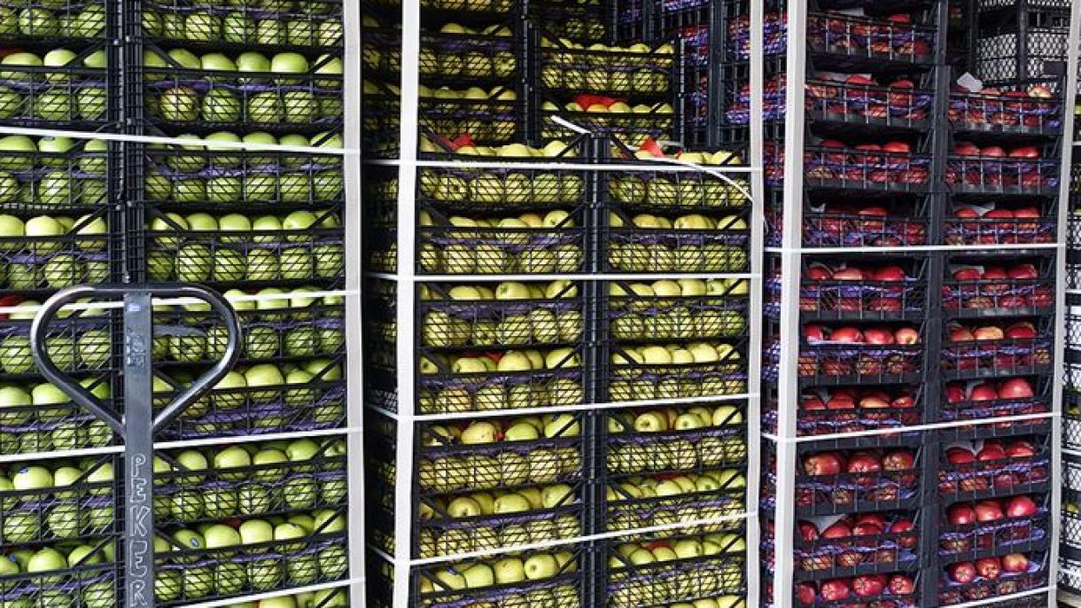 Exporturile  de fructe și legume din regiunea Mării Egee au înregistrat un record