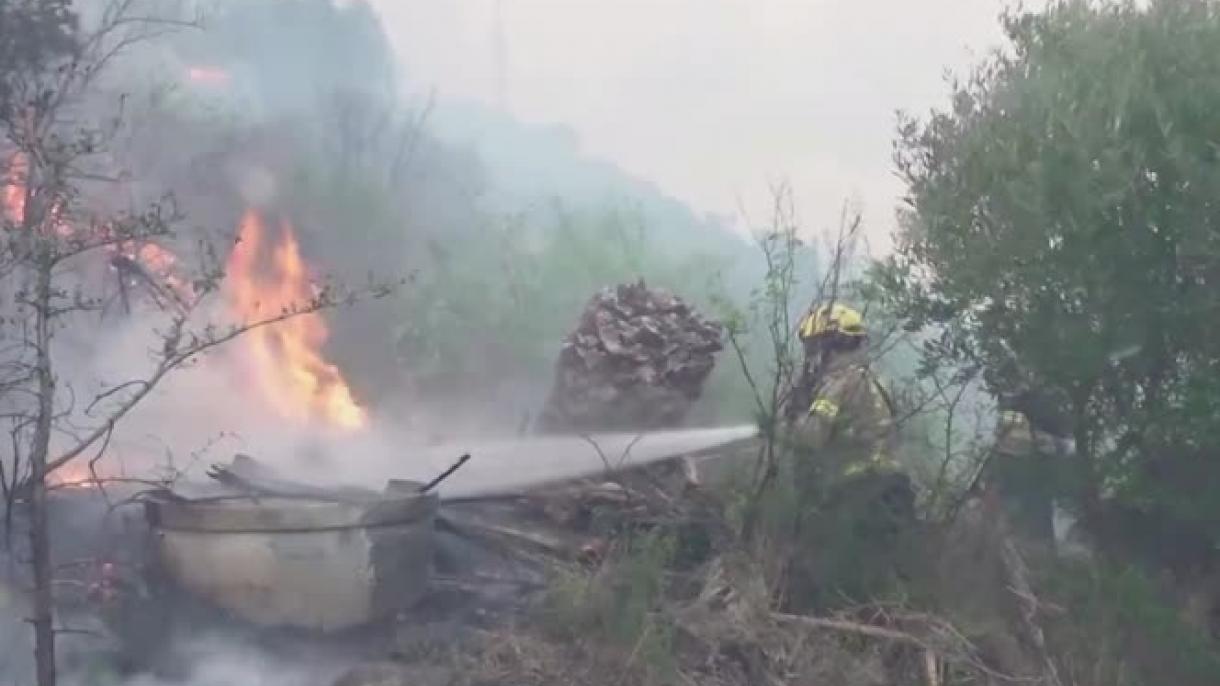 آتش سوزی جنگلی در مرز اسپانیا با فرانسه
