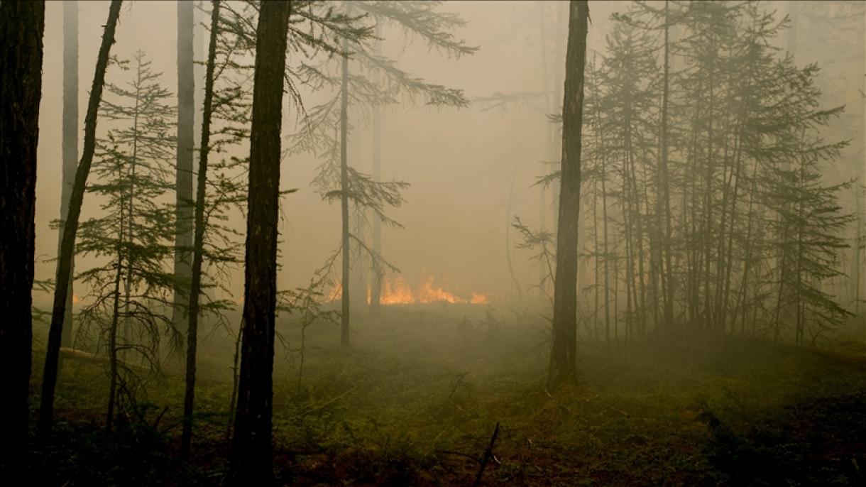 روس: 2 لاکھ 30 ہزار ہیکٹر اراضی پر پھیلی آگ کو بجھانے کی کوششیں جاری