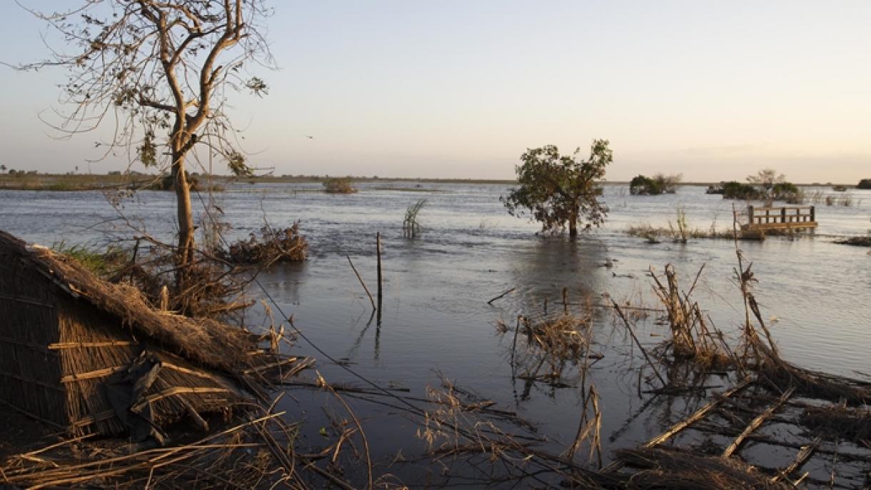 Мозамбикте бороон жана селдерден 117  адам каза болду