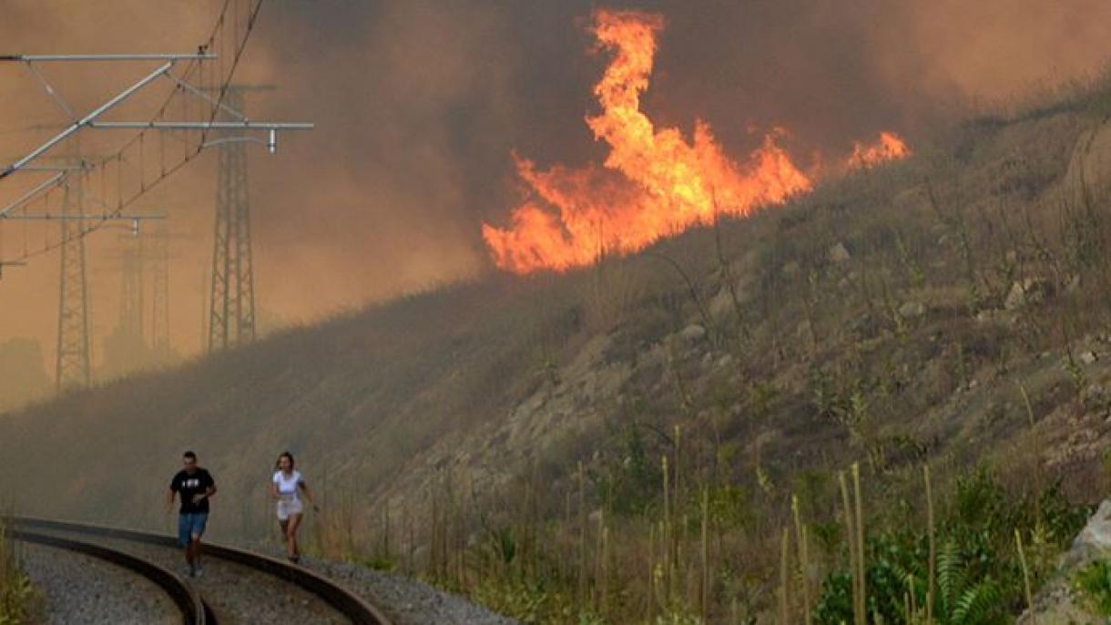 保加利亚哈斯科伊省发生火灾