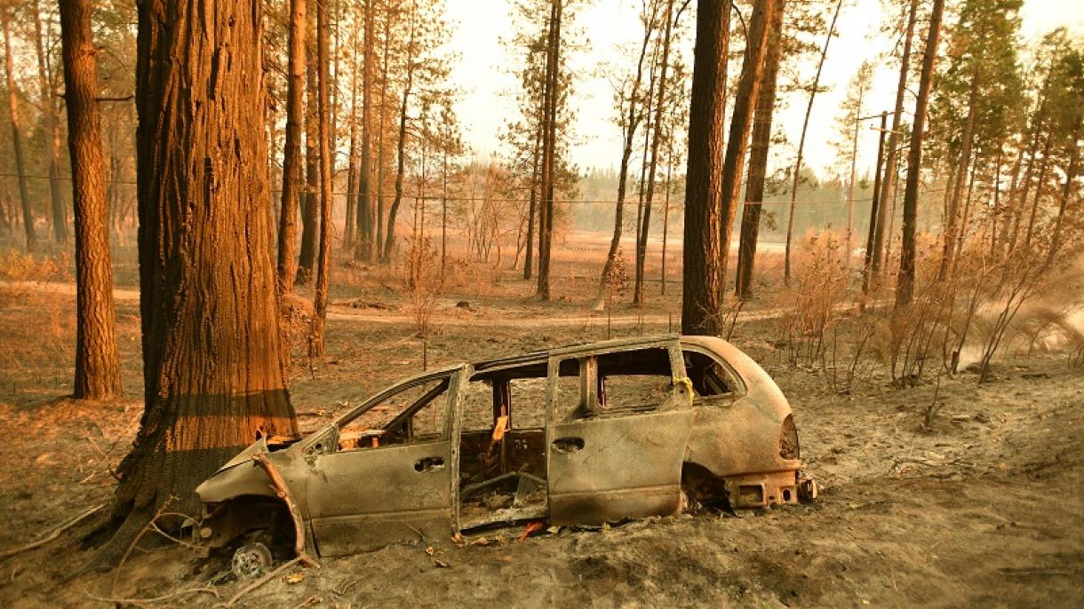 Número de mortos nos incêndios da Califórnia aumentou para 83