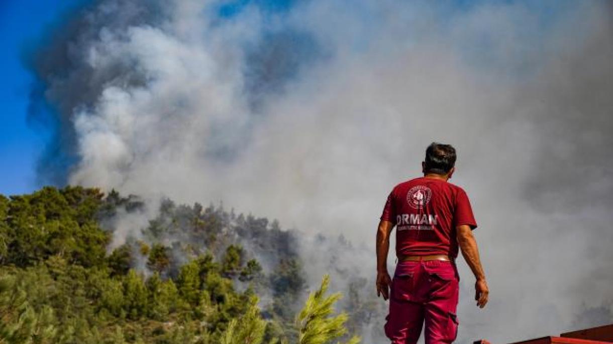Antalya-Orman yangını.jpg