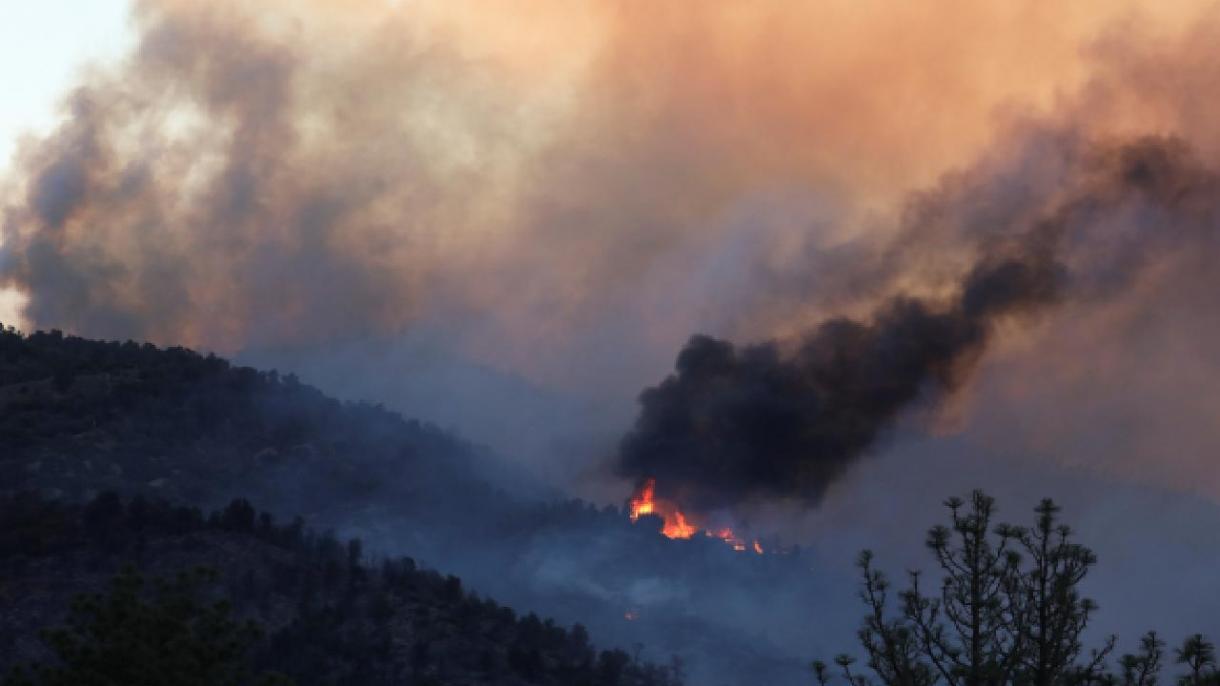 امریکہ، کیلیفورنیا کے جنگلات میں وسیع پیمانے کی آگ