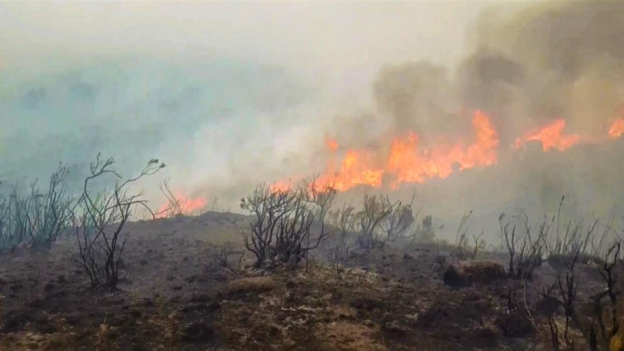 Tanzania ha schierato centinaia di soldati per controllare  l'incendio