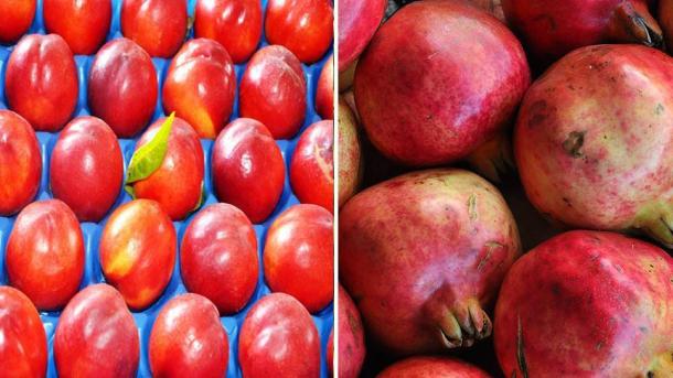 افزایش میوه‌های ترکیه در بازار ایران
