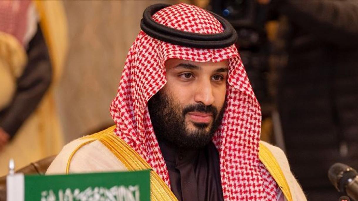 沙特王储与5国领导人通话 商讨地区最大的植树计划