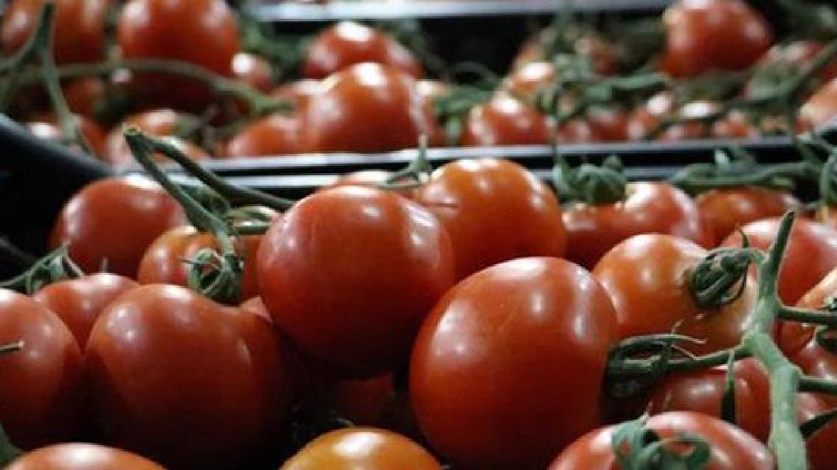 Continuarea importului de tomate din Turcia