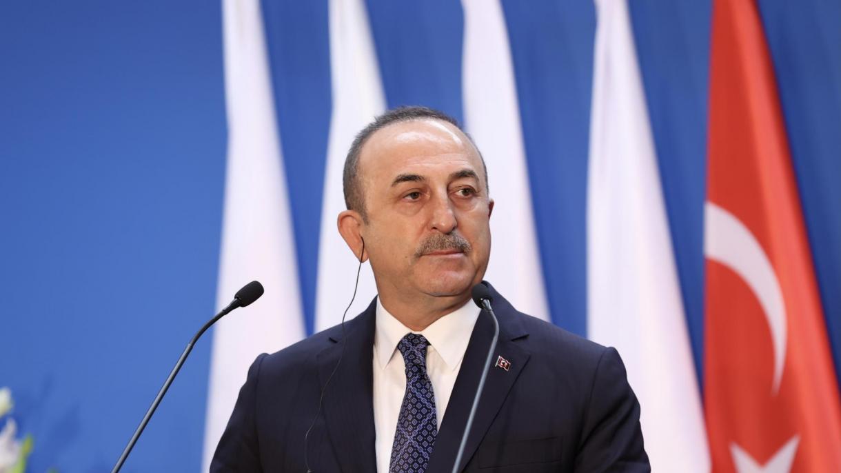 Çavuşoğlu ha acudido a la Reunión de Grupo de Visegrado