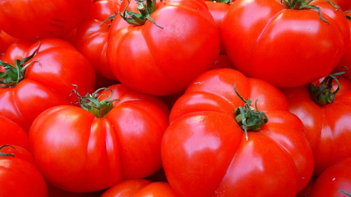 Russiýa Türkiýeden pomidor eksportyny artdyrdy