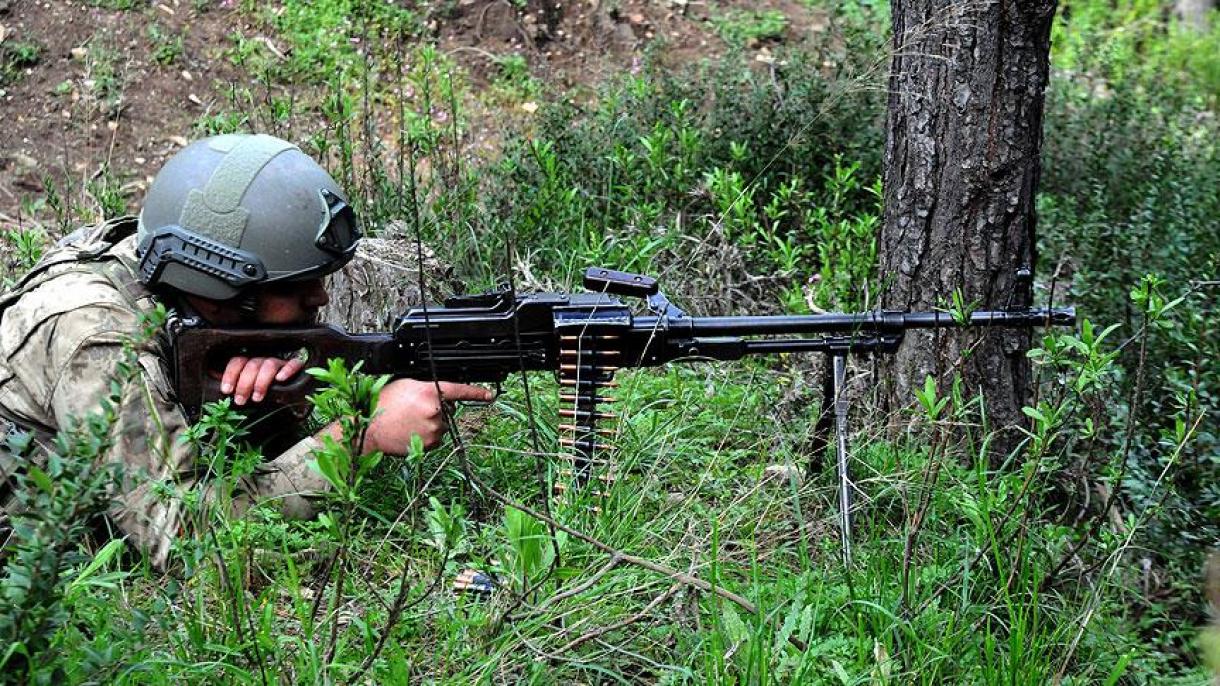 Amanoslar bölgəsində 21 gündə 25 terrorçu zərərsizləşdirildi