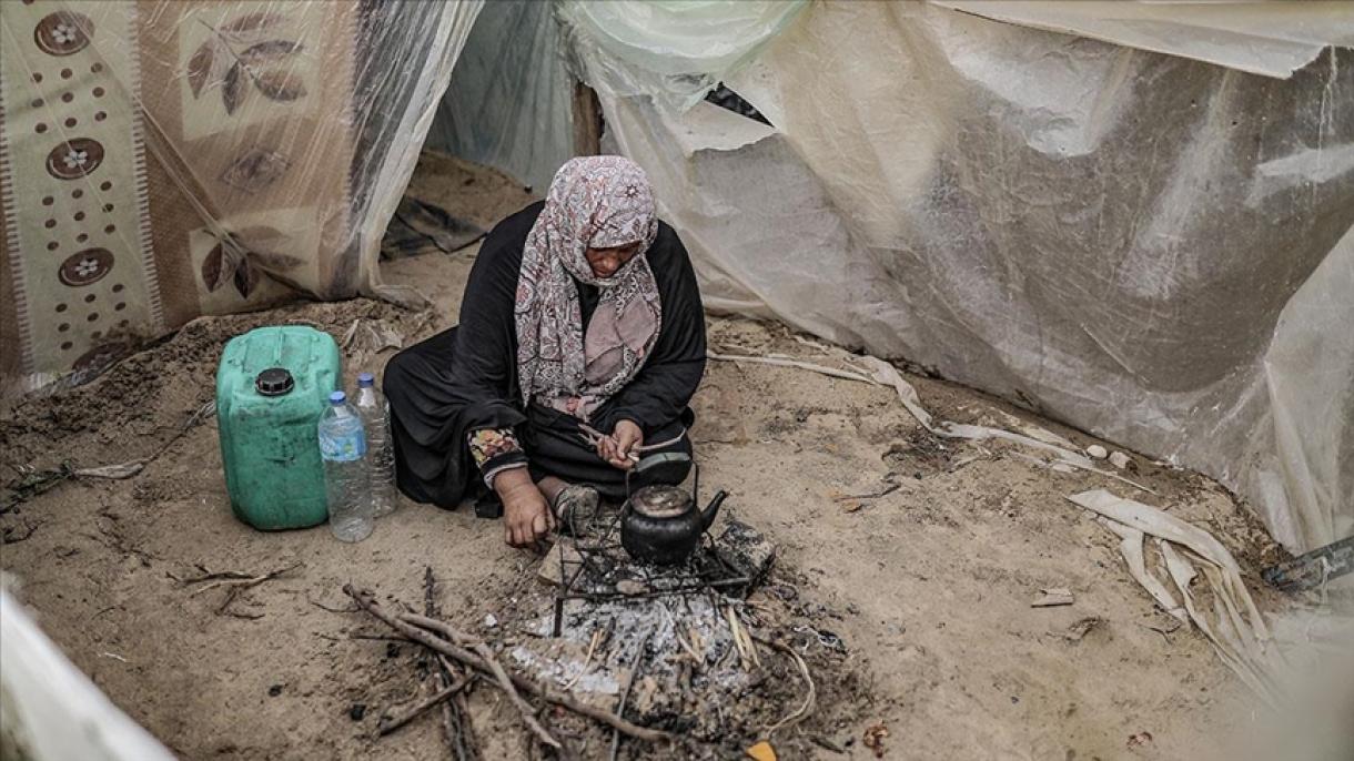 加沙粮食严重短缺 人民面临大范围饥荒