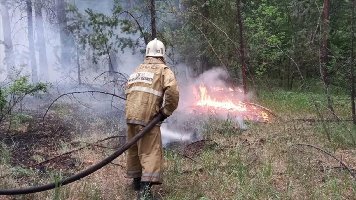 تلاش برای مهار آتش‌سوزی جنگلی در قزاقستان ادامه دارد