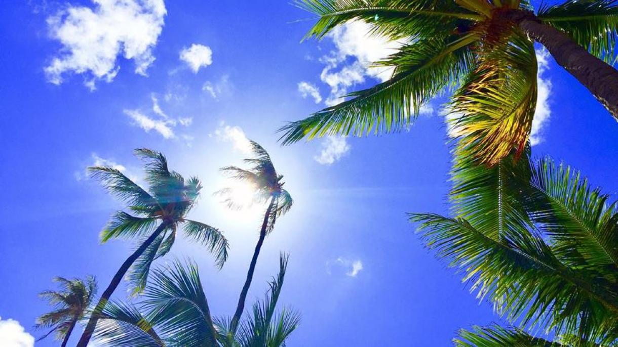 Hawai prohíbe protector solar que contiene químicos para proteger la vida marina