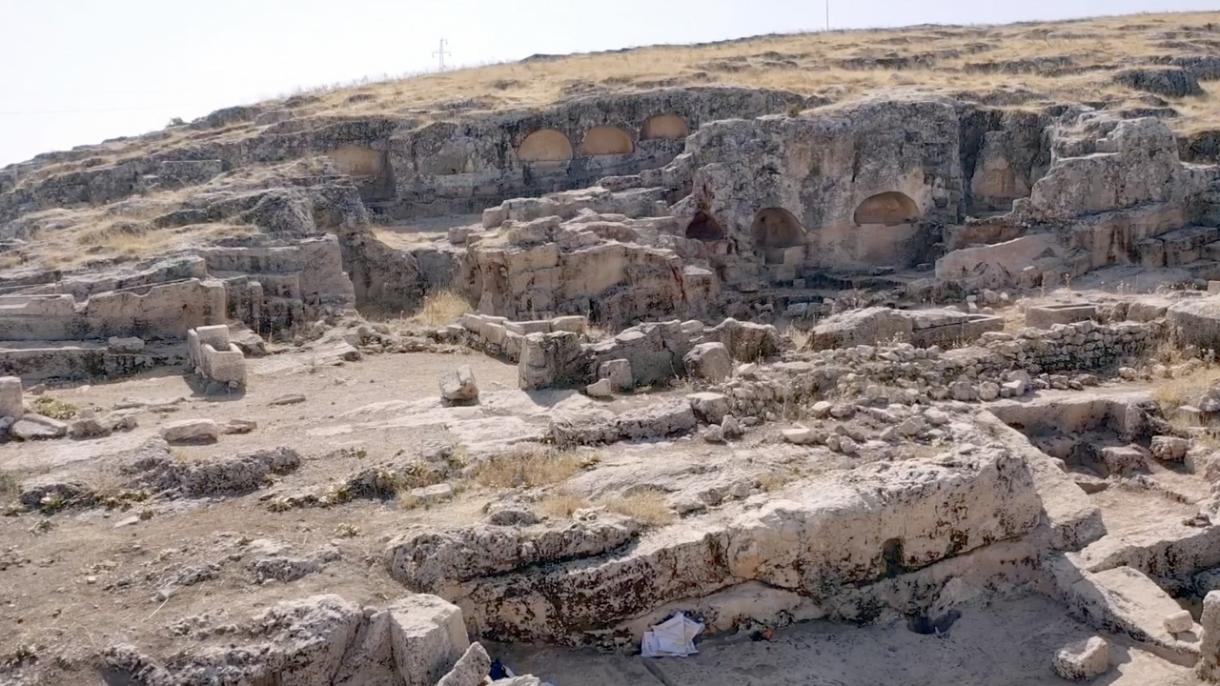 Desentierran huerto de uvas de 1700 años durante las excavaciones en la ciudad de Perre en Adıyaman