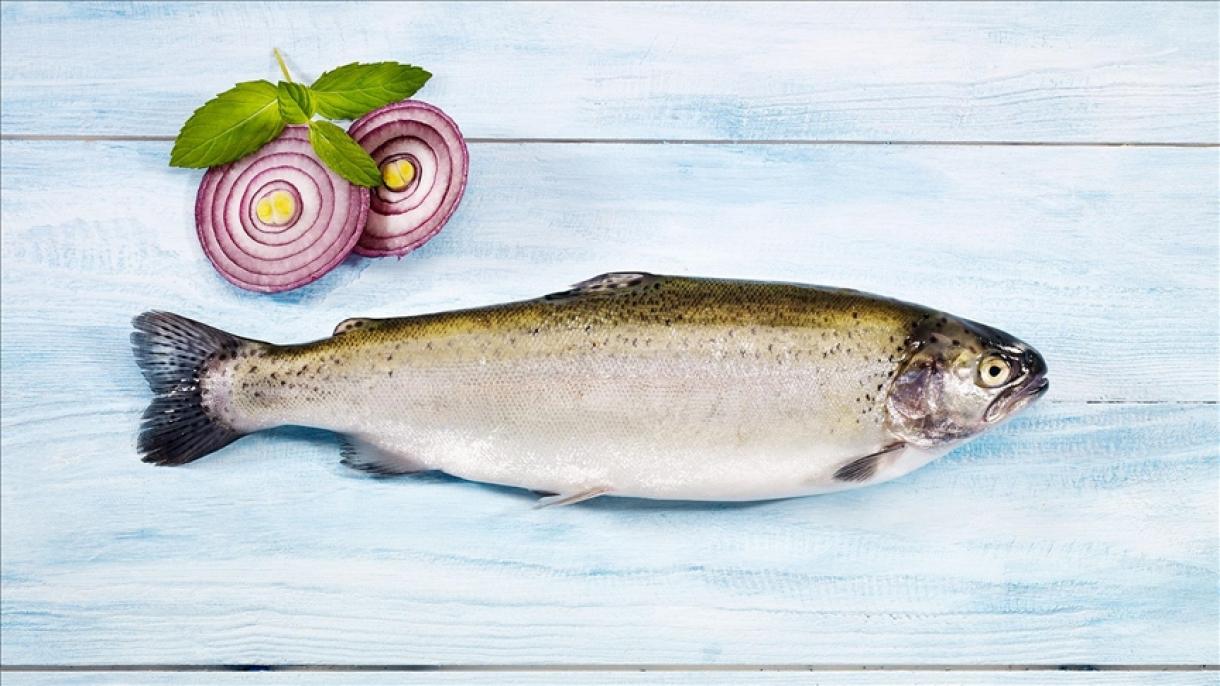 سال کی پہلی ششماہی میں ترکیہ کی سالمن مچھلی  کی برآمدات میں مسلسل اضافہ