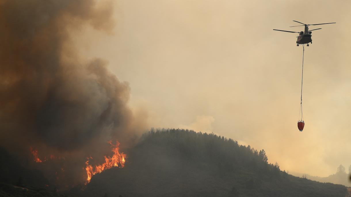 اعلام وضعیت فوق العاده به علت ادامه آتش سوزی جنگلی در کالیفرنیا