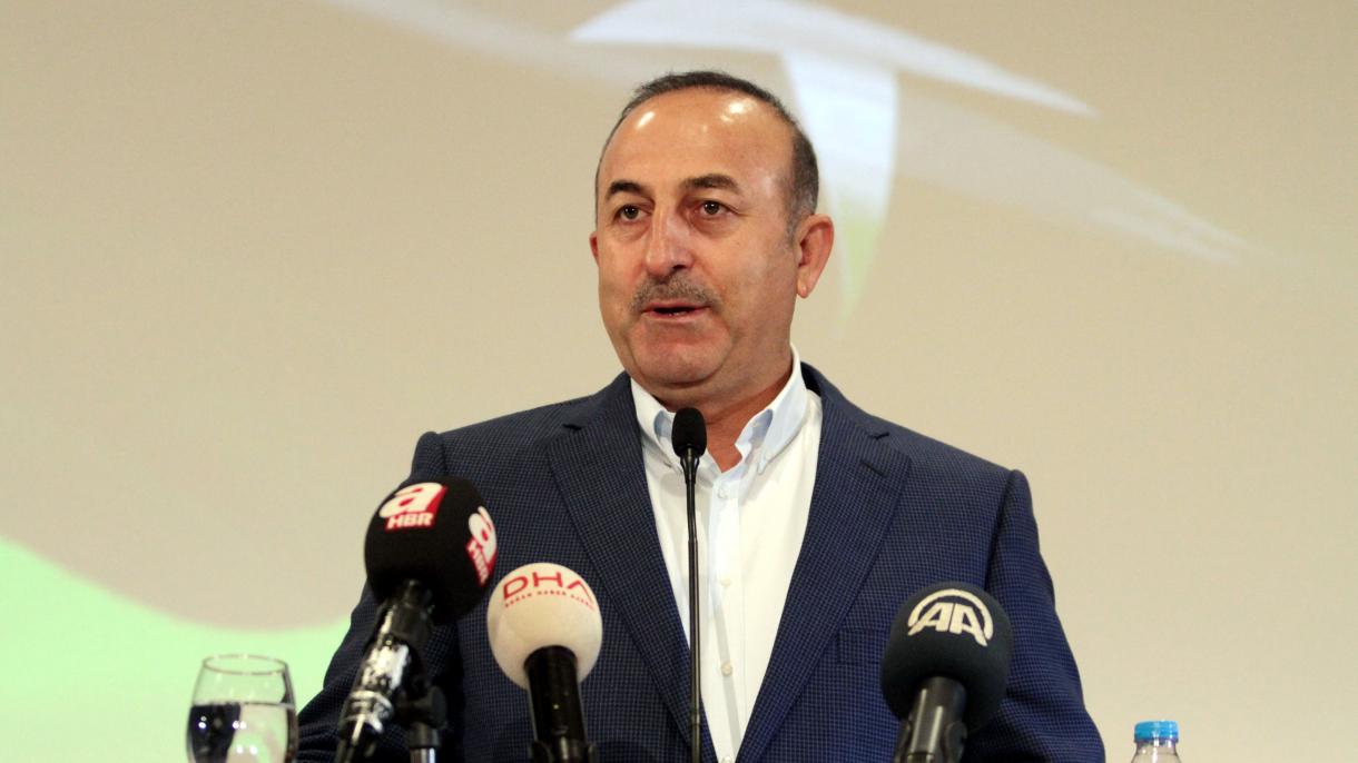 Ministro Çavuşoğlu: Visti, "faremo la nostra ultima offerta all'Ue  dopo referendum"