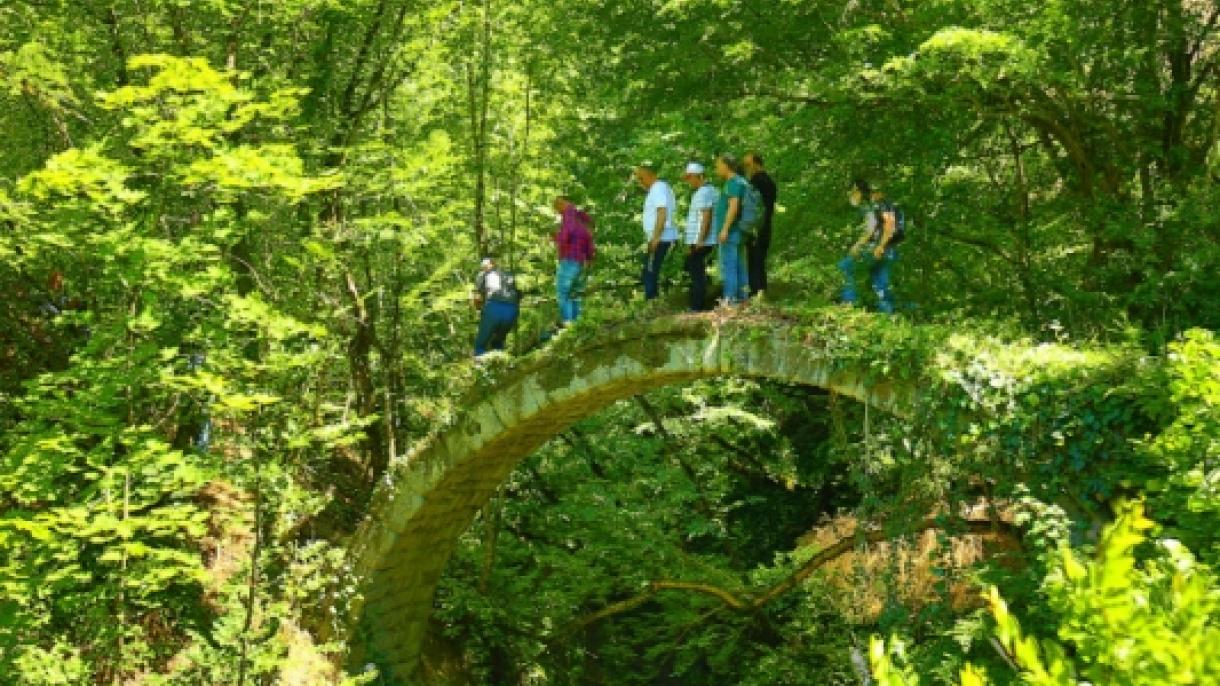 Fue descubierto un puente histórico arqueado de piedra en Artvin